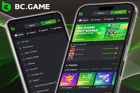 BC Game vs Stake A Comprehensive Comparison of Top Crypto Gambling Platforms