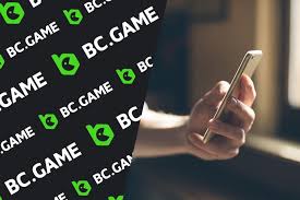 BCStavka Casino Explained Your Comprehensive Guide