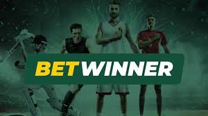 Discover the Benefits of the BetWinner Partners Program -369966481
