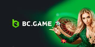 Enhancing User Experience The BC Game Customer Support Team