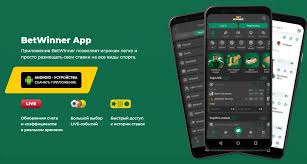 BetWinner Bookmaker A Comprehensive Review